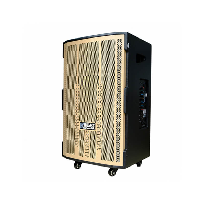 Loa karaoke di động Acnos CB4051G chính hãng - Hình 2