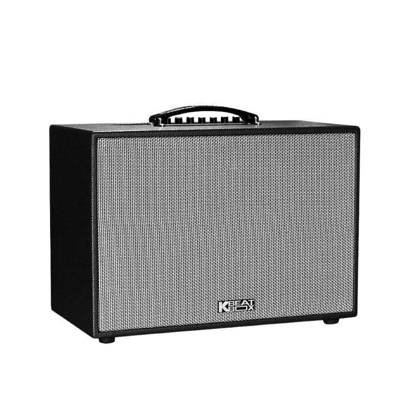 Loa Xách Tay Acnos CS261PU Chính Hãng - Hình 1