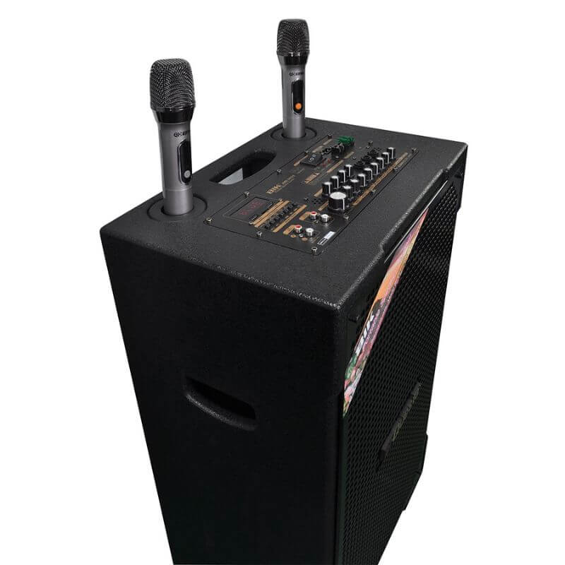 Loa Kéo BIK BMS-5015 II Chính Hãng - Hình 4
