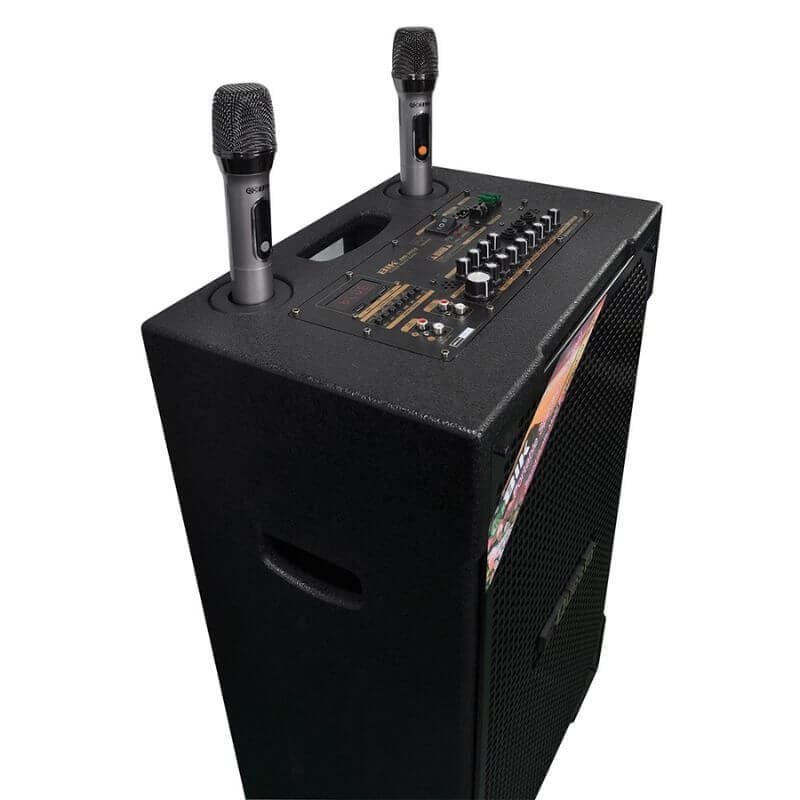 Loa Kéo BIK BMS-5015 II Chính Hãng - Hình 4