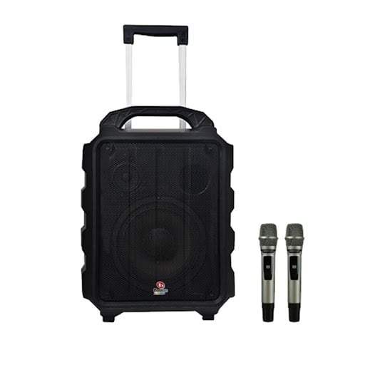 Loa karaoke di động Boston Acoustic H10P chính hãng - Hình 1