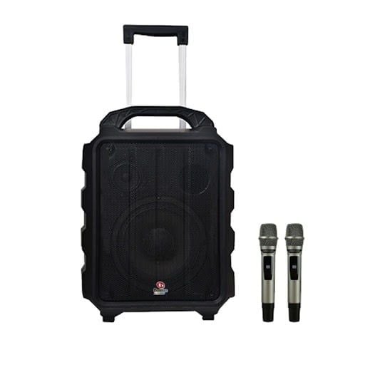 Loa karaoke di động Boston Acoustic H10P chính hãng - Hình 1