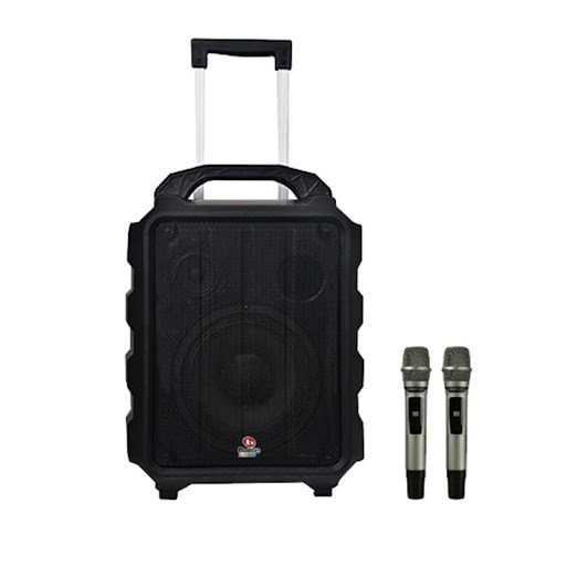 Loa karaoke di động Boston Acoustic H12P chính hãng - Hình 1