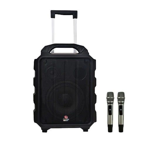 Loa karaoke di động Boston Acoustic H12P chính hãng - Hình 1