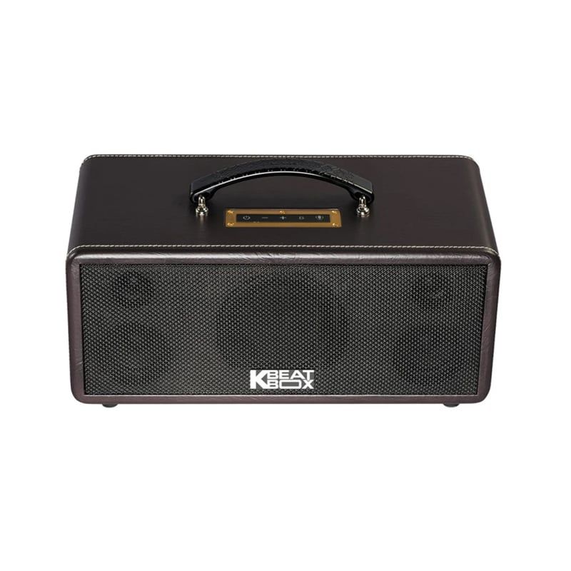 Loa karaoke di động Acnos KS360MS chính hãng - Hình 2