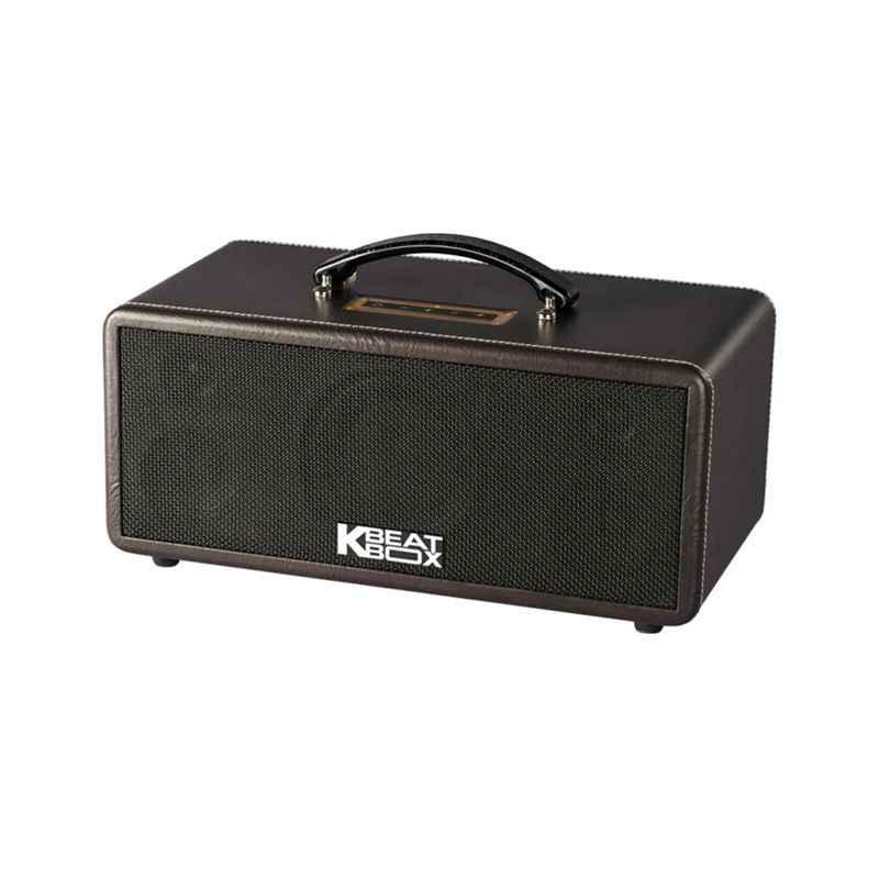 Loa karaoke di động Acnos KS360MS chính hãng - Hình 4