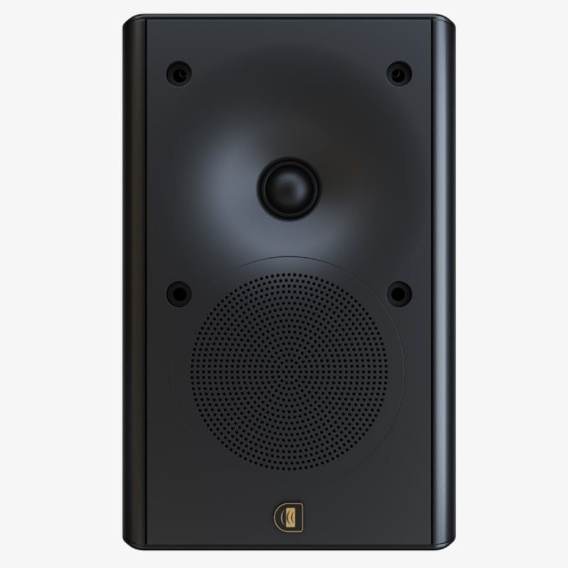 Loa Nghe Nhạc Perlisten X2W Chính Hãng - Hình 2