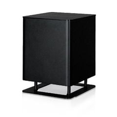 Loa subwoofer Piega Tmicro Sub chính hãng