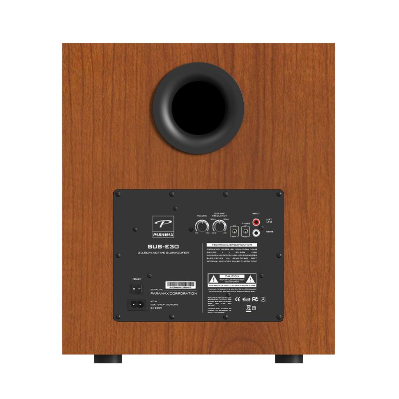Loa siêu trầm Paramax SUB-E30 chính hãng - Hình 5