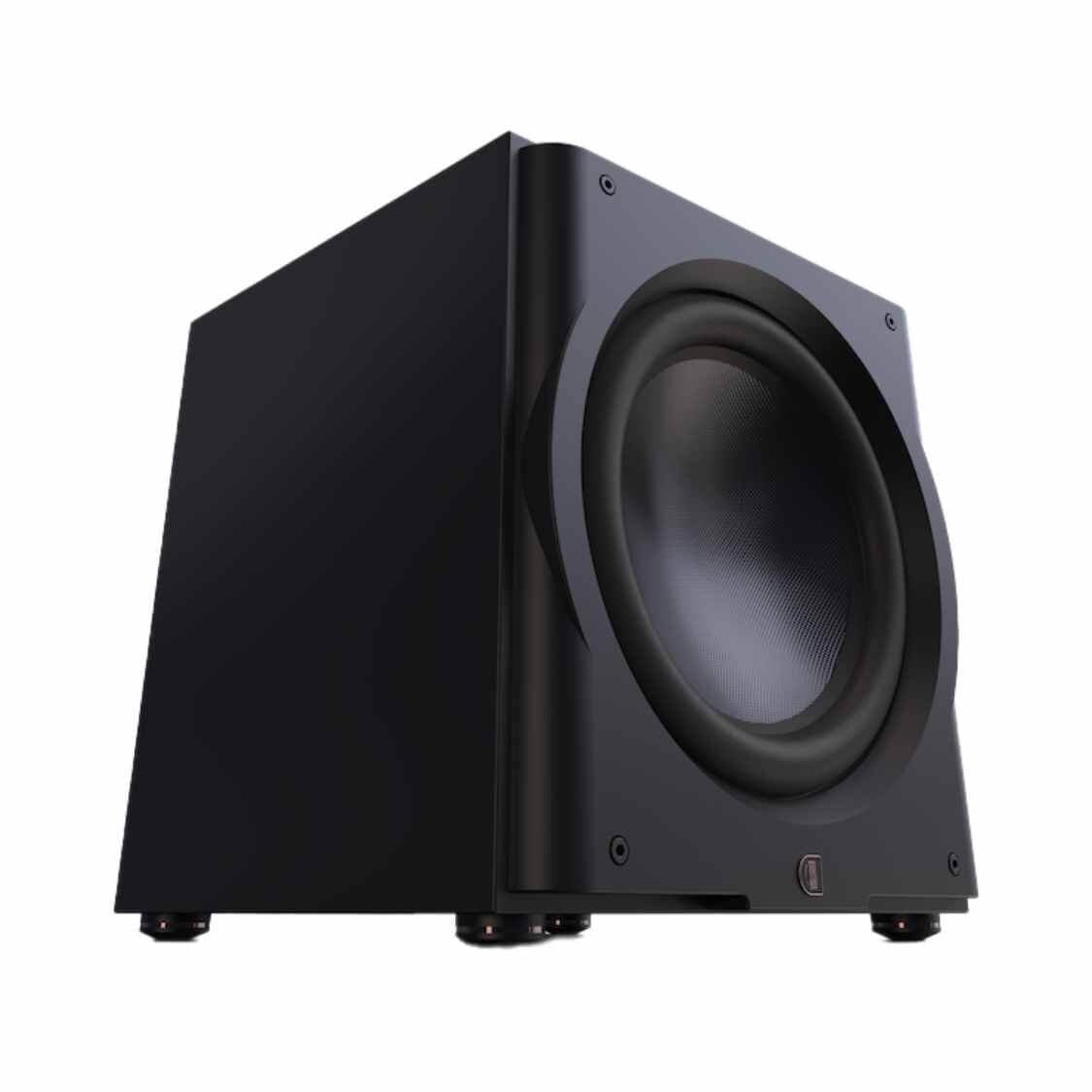 Loa Siêu Trầm Perlisten R15s - Hình 1