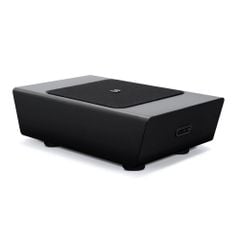 Loa subwoofer Bluesound Pulse Sub Plus chính hãng - Thumb 1