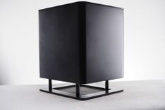 Loa subwoofer Piega Tmicro Sub chính hãng - Thumb 2