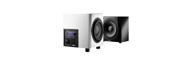 Loa Sub Dynaudio Sub 6 Chính Hãng - Hình 4