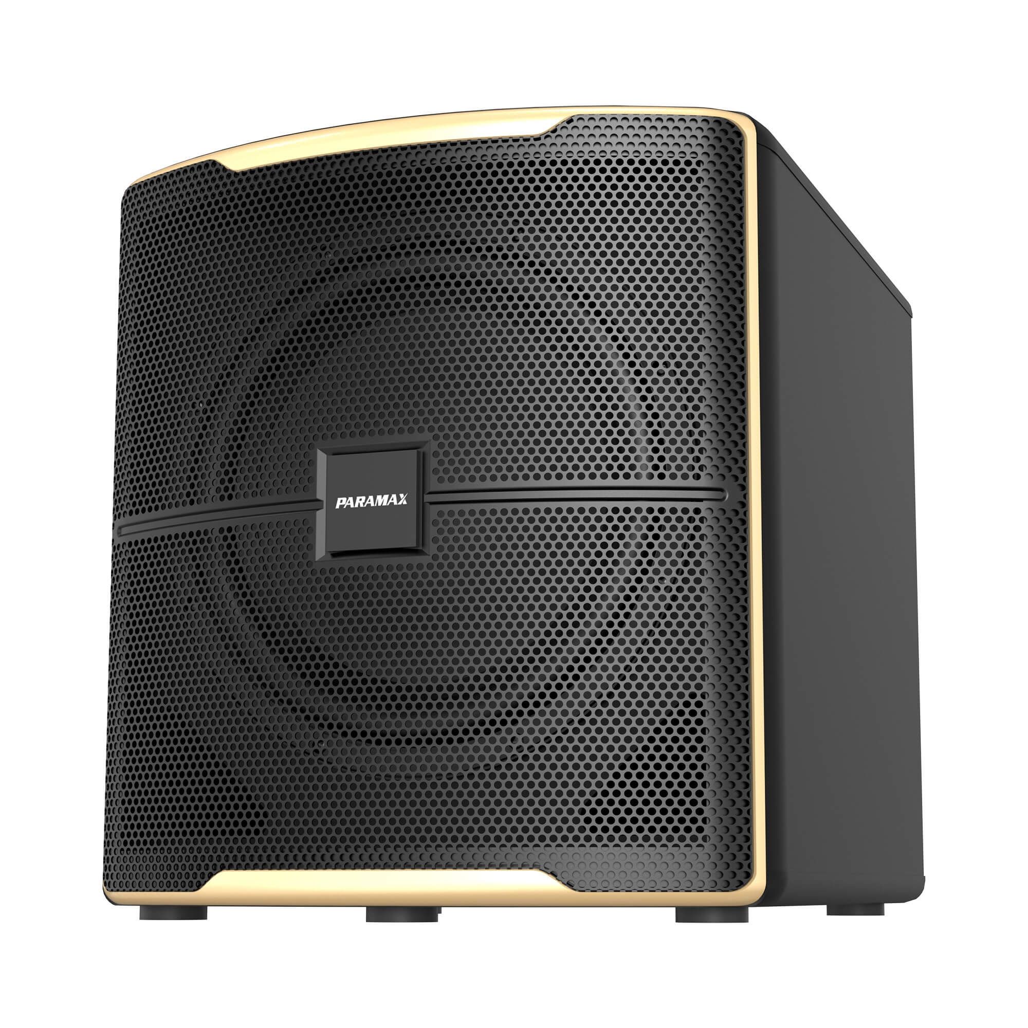 Loa subwoofer Paramax Z-Sub chính hãng - Hình 1