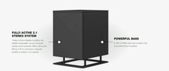 Loa subwoofer Piega Tmicro Sub chính hãng - Thumb 3