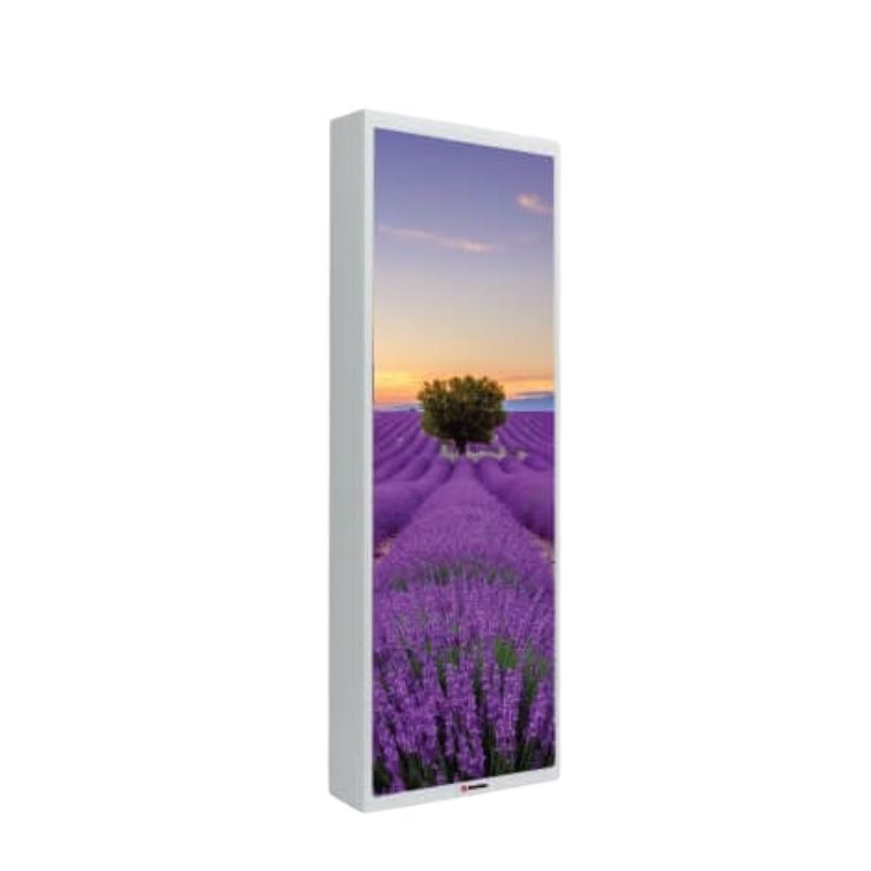 Loa tranh Sumico Canvas 1216 chính hãng - Hình 2