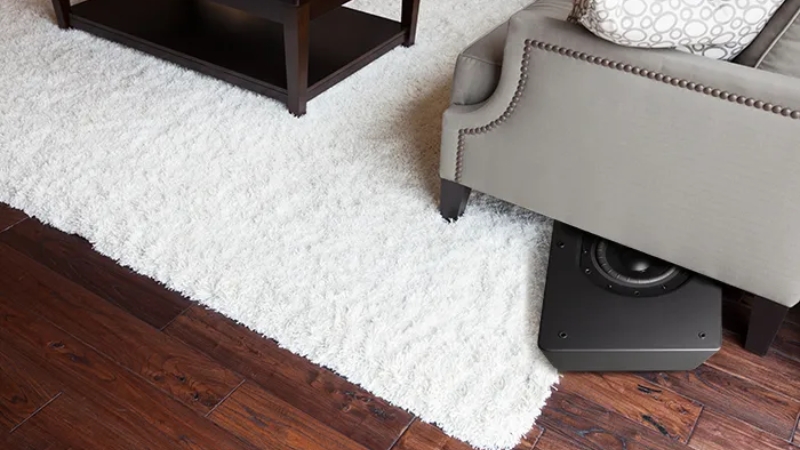 Loa Subwoofer Bluesound Pulse Sub Chính Hãng - Hình 3