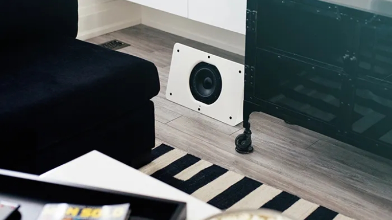 Loa Subwoofer Bluesound Pulse Sub Chính Hãng - Hình 5