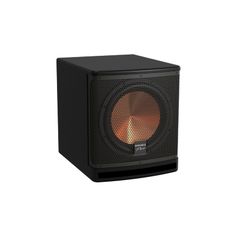 Loa Subwoofer Paramax Sub-A30 Chính Hãng - Thumb 2