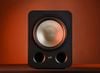 Loa Subwoofer Polk Signature Elite ES12 Chính Hãng - Thumb 6