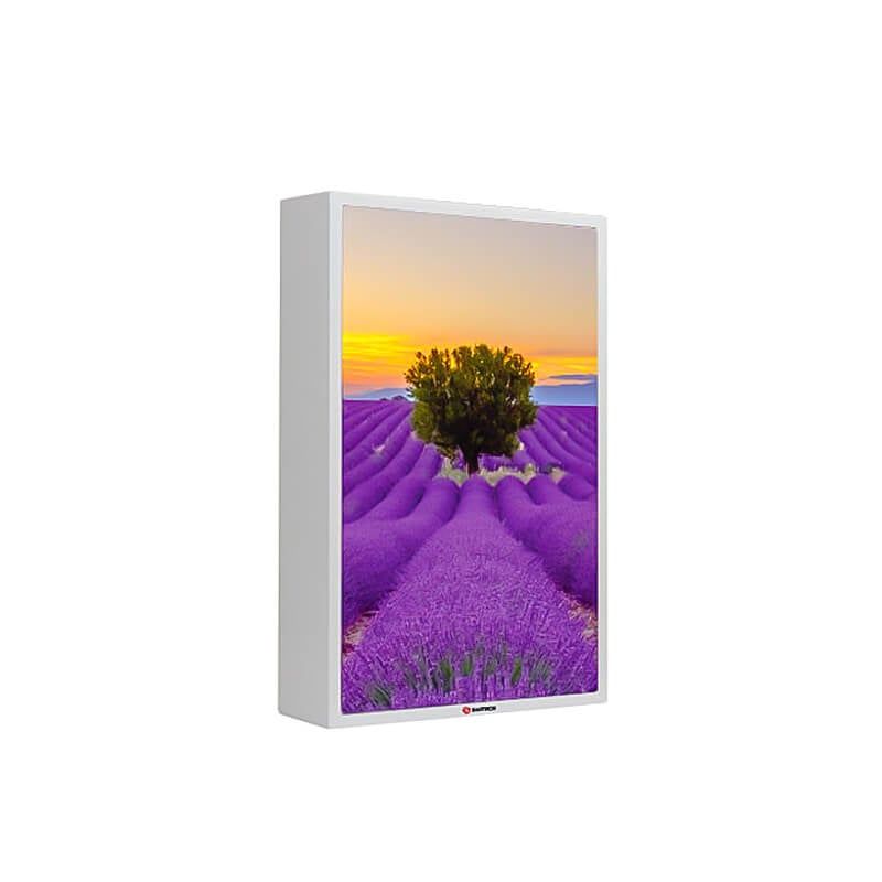 Loa tranh Sumico Canvas 1008 chính hãng - Hình 1