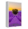 Loa Tranh Sumico CANVAS 6506 Chính Hãng - Thumb 4