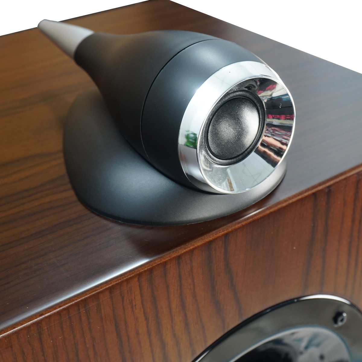 Loa CAVS TL210 Chính Hãng - Hình 6