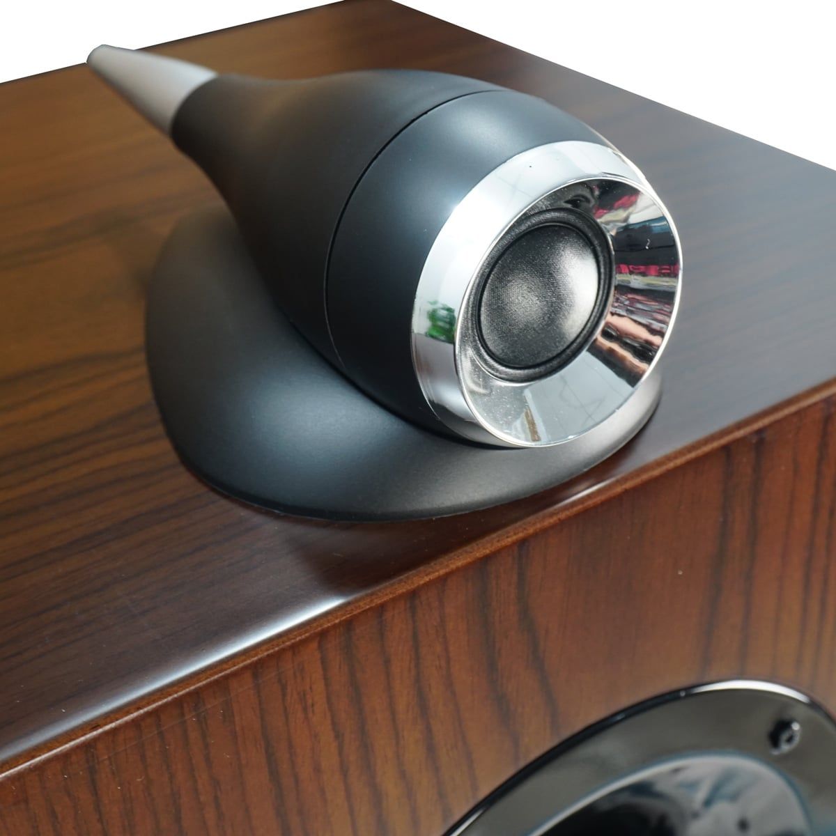 Loa CAVS TL210 Chính Hãng - Hình 6