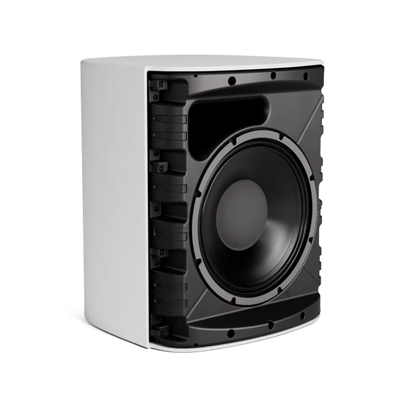 Loa Treo Tường Bose DesignMax DM12SE Chính Hãng - Hình 2
