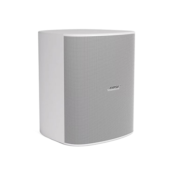 Loa Treo Tường Bose DesignMax DM12SE Chính Hãng - Hình 4