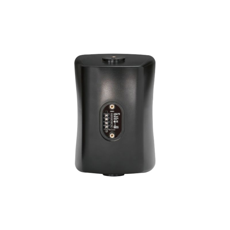 Loa treo tường Inter-M WS-50T chính hãng - Hình 4