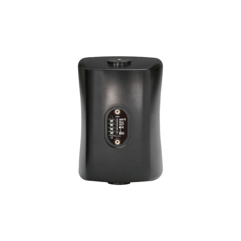 Loa treo tường Inter-M WS-50T chính hãng - Hình 4