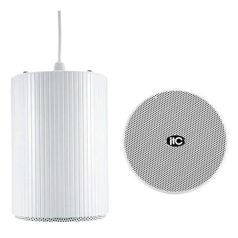 Loa Treo Trần ITC T-200B Mới Nhất - Hình 2