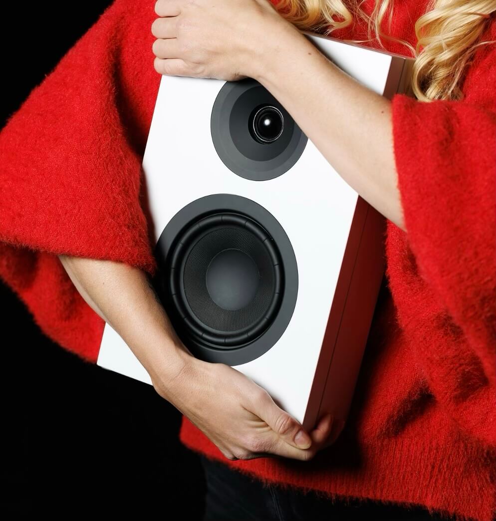 Loa System Audio Signature 6 Chính Hãng - Hình 6