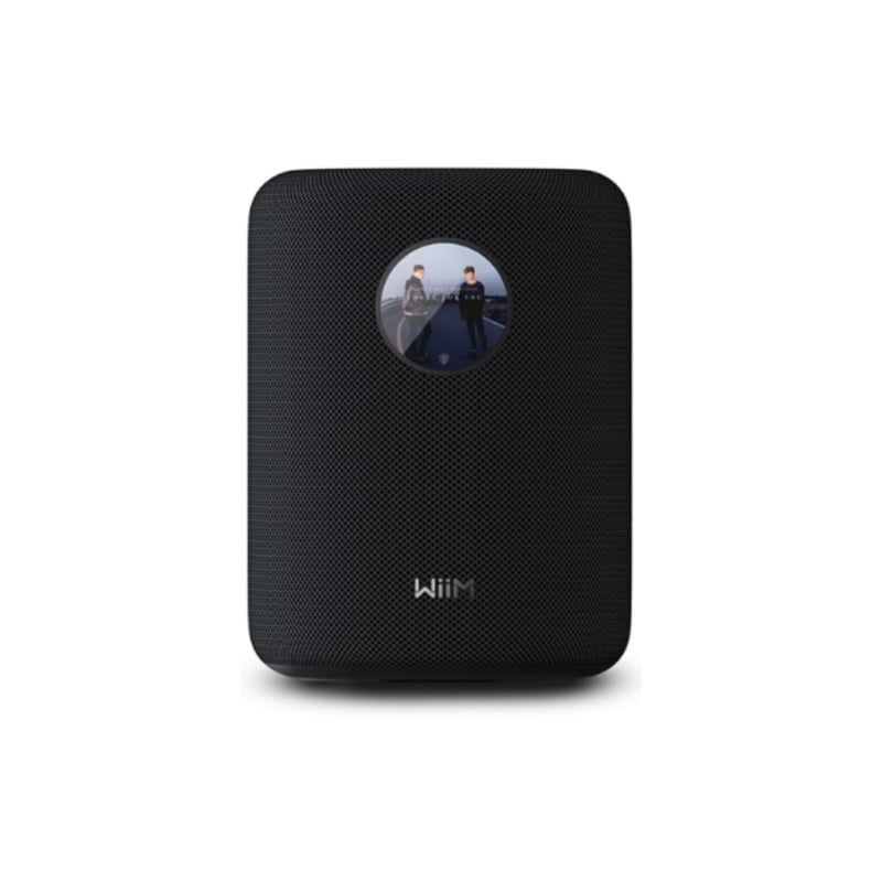 Loa Bluetooth WiiM Sound Mới Nhất - Hình 1