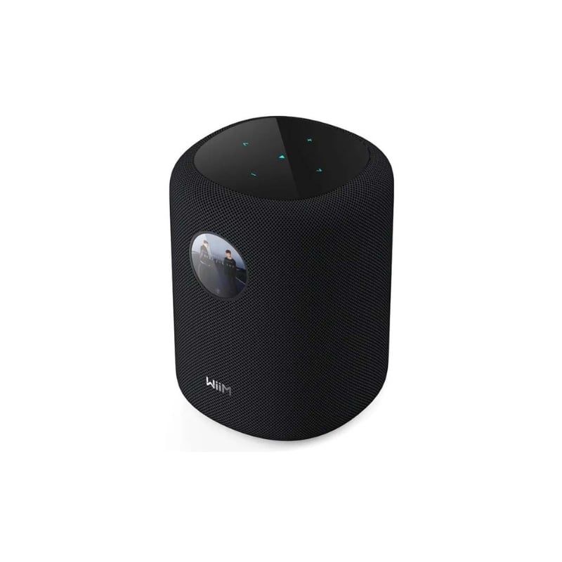 Loa Bluetooth WiiM Sound Mới Nhất - Hình 2