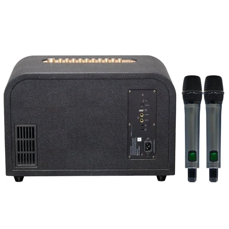 Loa Xách Tay Acnos Acoustic 3 Compact Cao Cấp - Hình 2