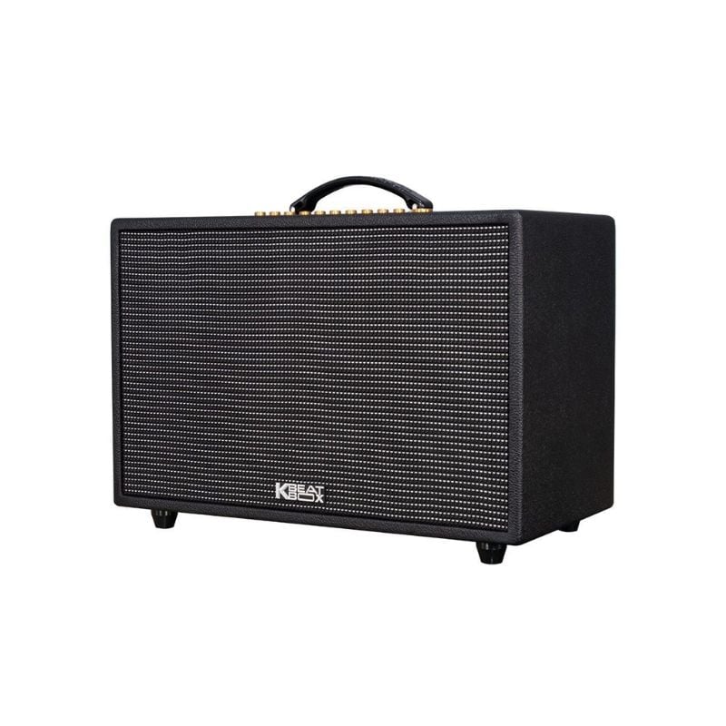 Loa Xách Tay Acnos CS3600 Gen 2 - Hình 2