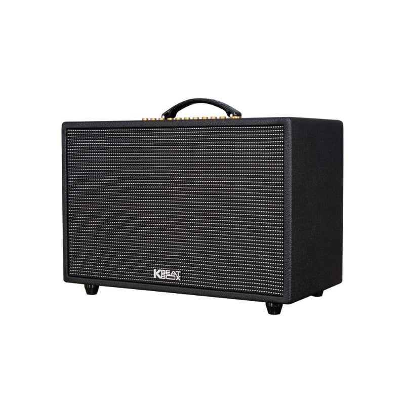 Loa Xách Tay Acnos CS3600 Gen 2 - Hình 2