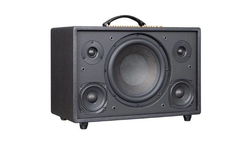 Loa Xách Tay Acnos CS3600 Pro - Hình 5