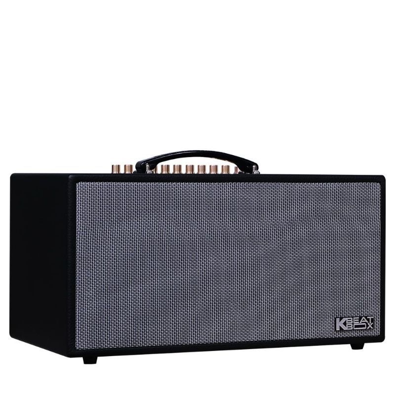 Loa karaoke di động Acnos CS450Alpha chính hãng - Hình 2