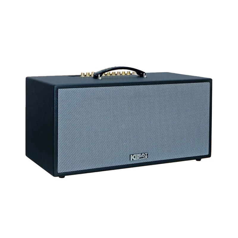 Loa karaoke di động Acnos CS451 chính hãng - Hình 1