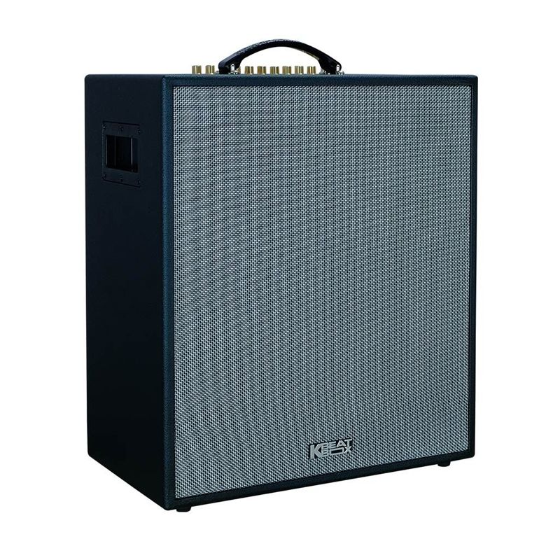 Loa karaoke di động Acnos CS551 chính hãng - Hình 3