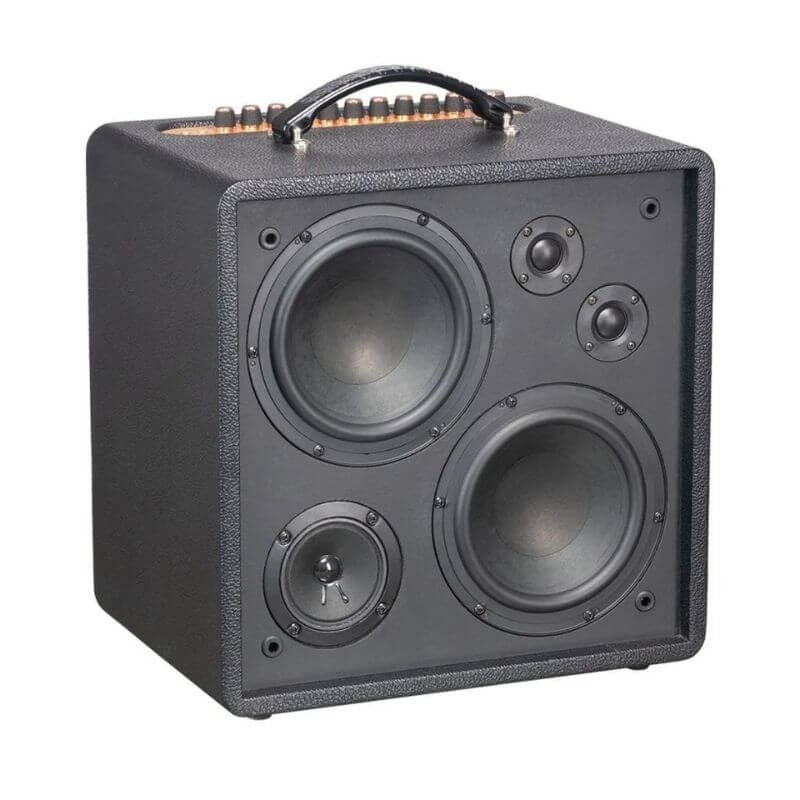 Loa Xách Tay Acnos Quad 68 Pro Chính Hãng - Hình 4