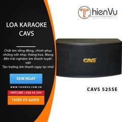 Loa karaoke CAVS 525SE chính hãng