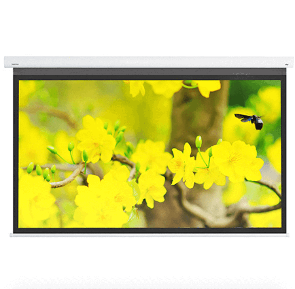 Màn chiếu DNP Supernova Flex 120 inch - Hình 1