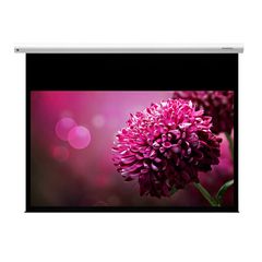 Màn chiếu Grandview LE-MI150(16:9) chính hãng - Thumb 3