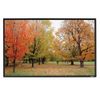 Màn chiếu Grandview LF-PP200(16:9) chính hãng - Thumb 2