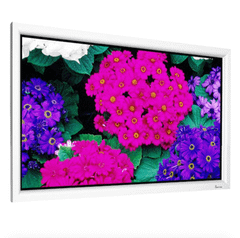 DNP Supernova One 120 Inch