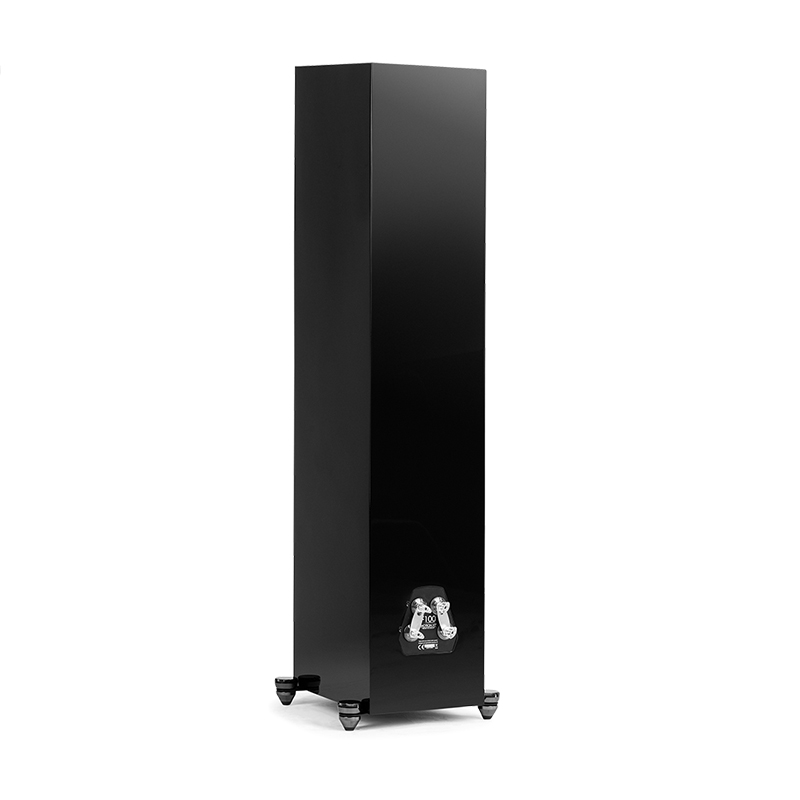 Loa nghe nhạc Martin Logan Motion XT F100 chính hãng - Hình 3